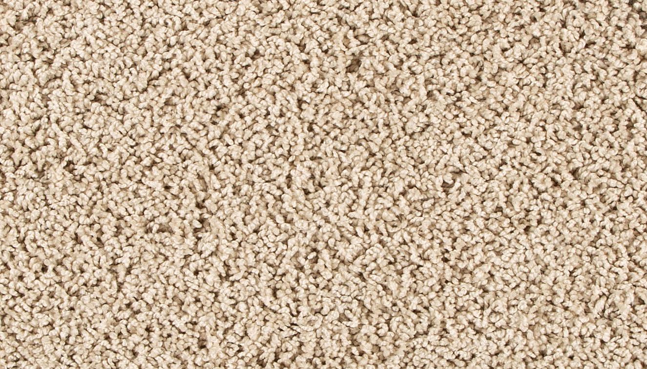 Pet Premier | Diffurent Choice II