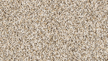 Pet Premier | Diffurent Choice II