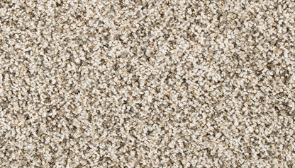 Pet Premier | Diffurent Choice II