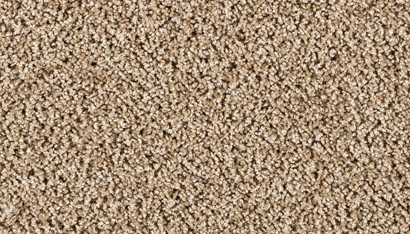 Pet Premier | Diffurent Choice II