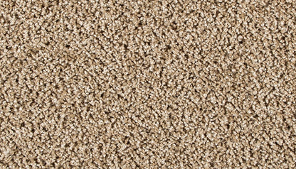 Pet Premier | Diffurent Choice II
