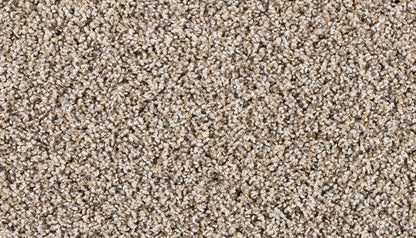 Pet Premier | Diffurent Choice II