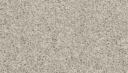 Pet Premier | Diffurent Choice II