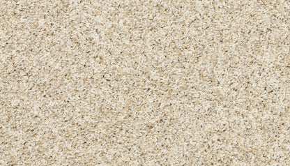 Pet Premier | Diffurent Choice II