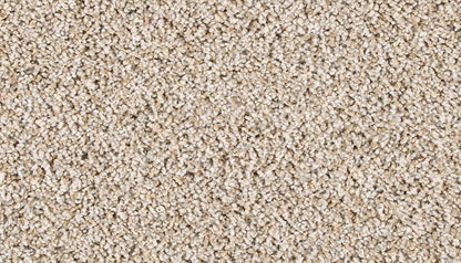 Pet Premier | Diffurent Choice II
