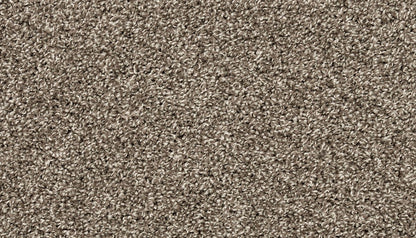 Pet Premier | Diffurent Choice II