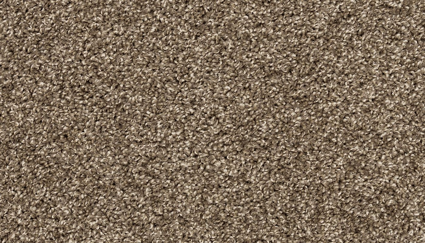 Pet Premier | Diffurent Choice II