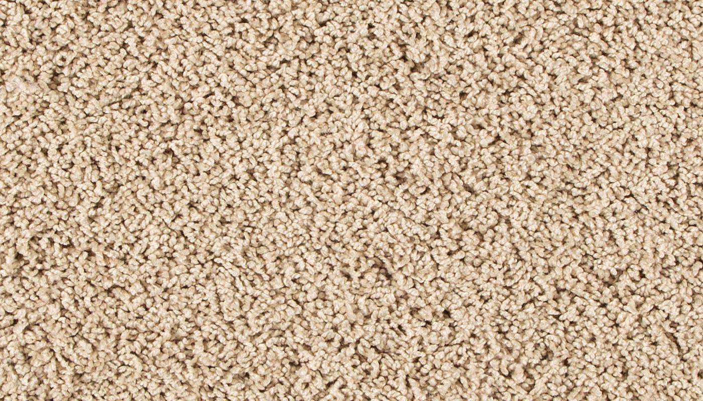 Pet Premier | Diffurent Choice III