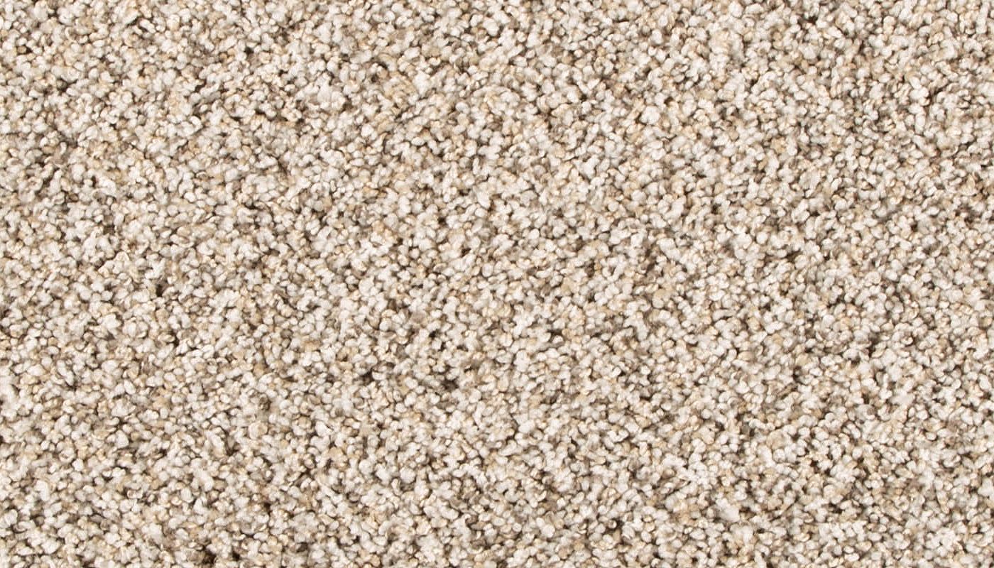 Pet Premier | Diffurent Choice III