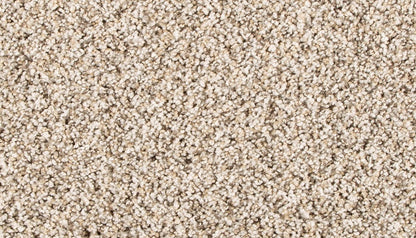 Pet Premier | Diffurent Choice III