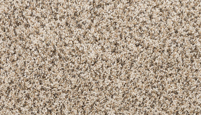 Pet Premier | Diffurent Choice III