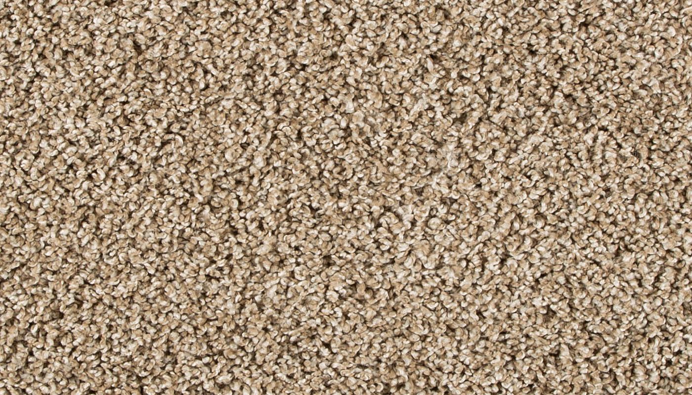 Pet Premier | Diffurent Choice III