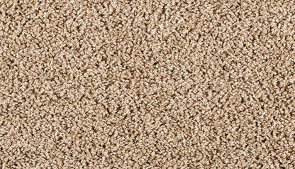 Pet Premier | Diffurent Choice III