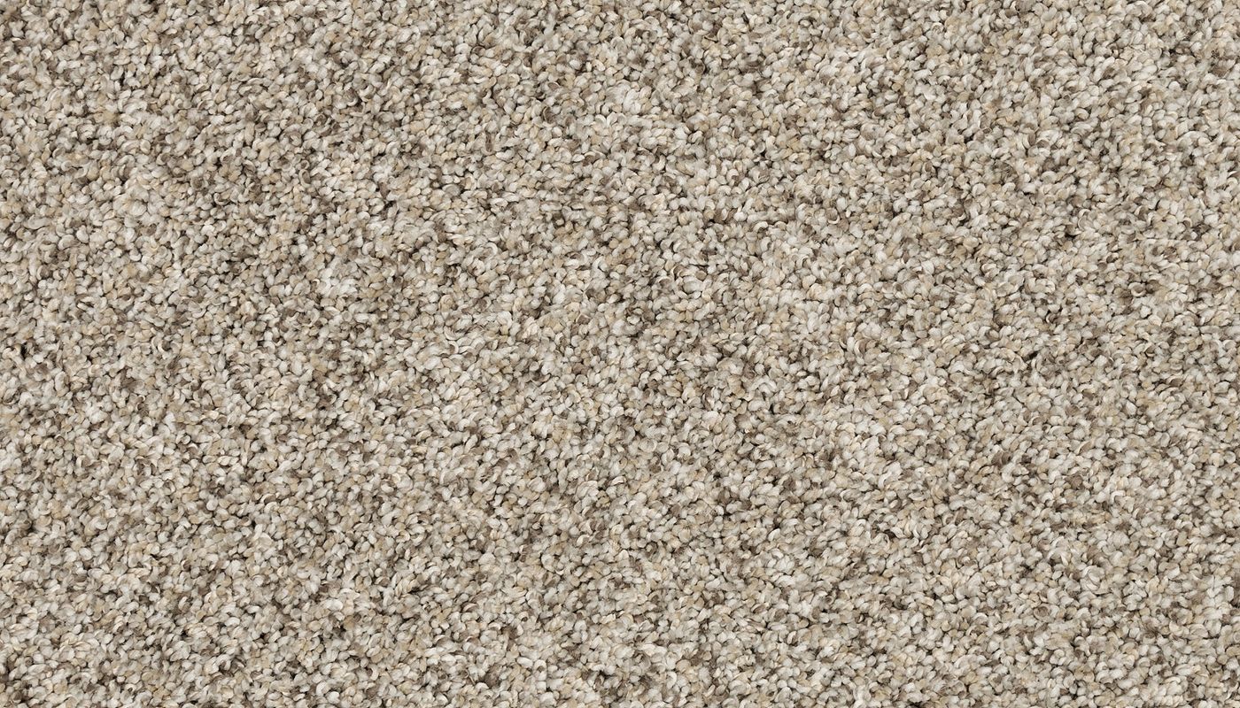 Pet Premier | Diffurent Choice III