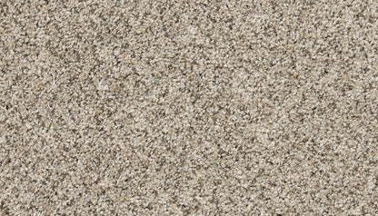 Pet Premier | Diffurent Choice III