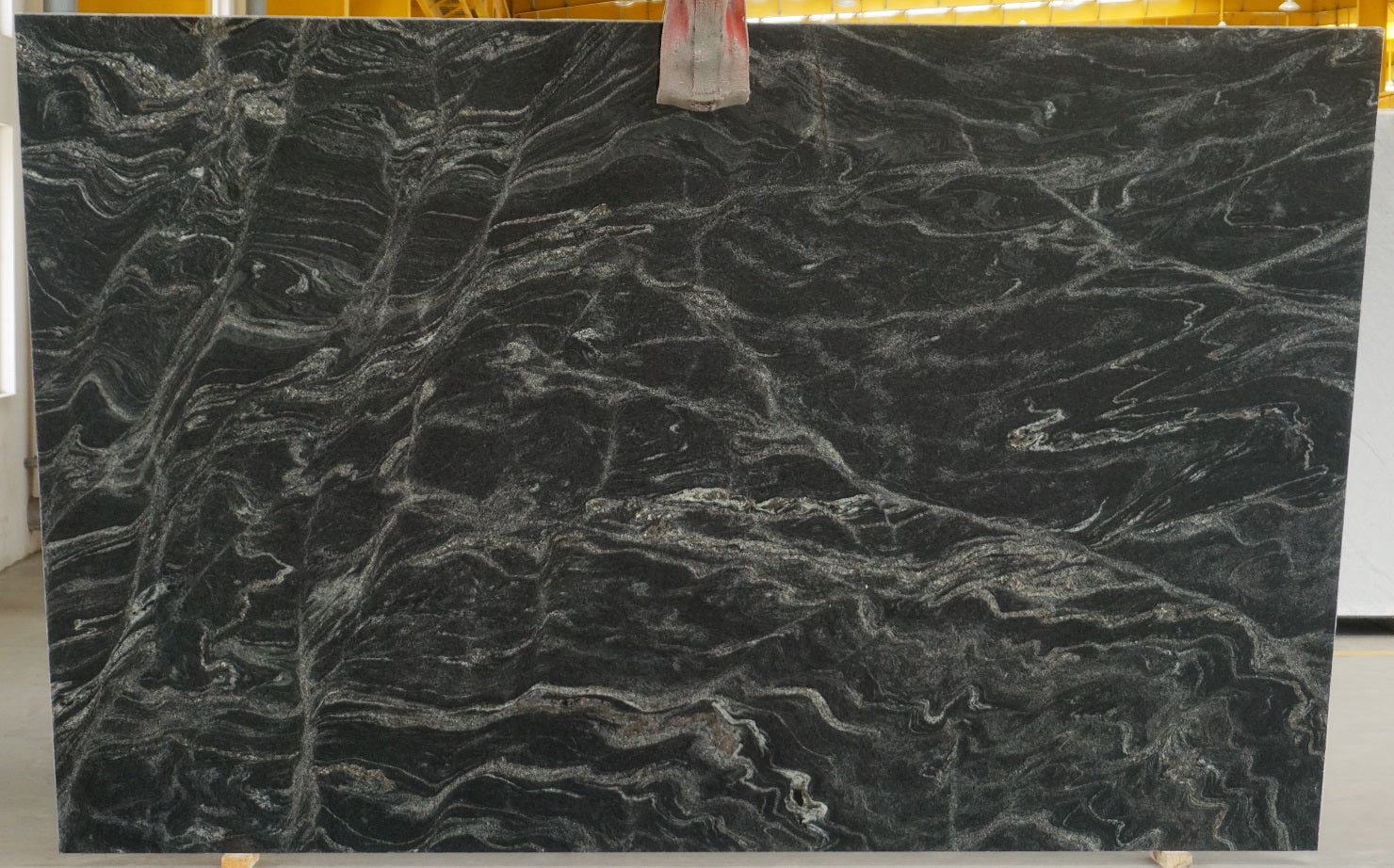 Silver Waves: Black Forest