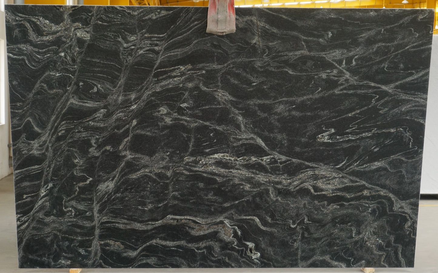 Silver Waves: Black Forest