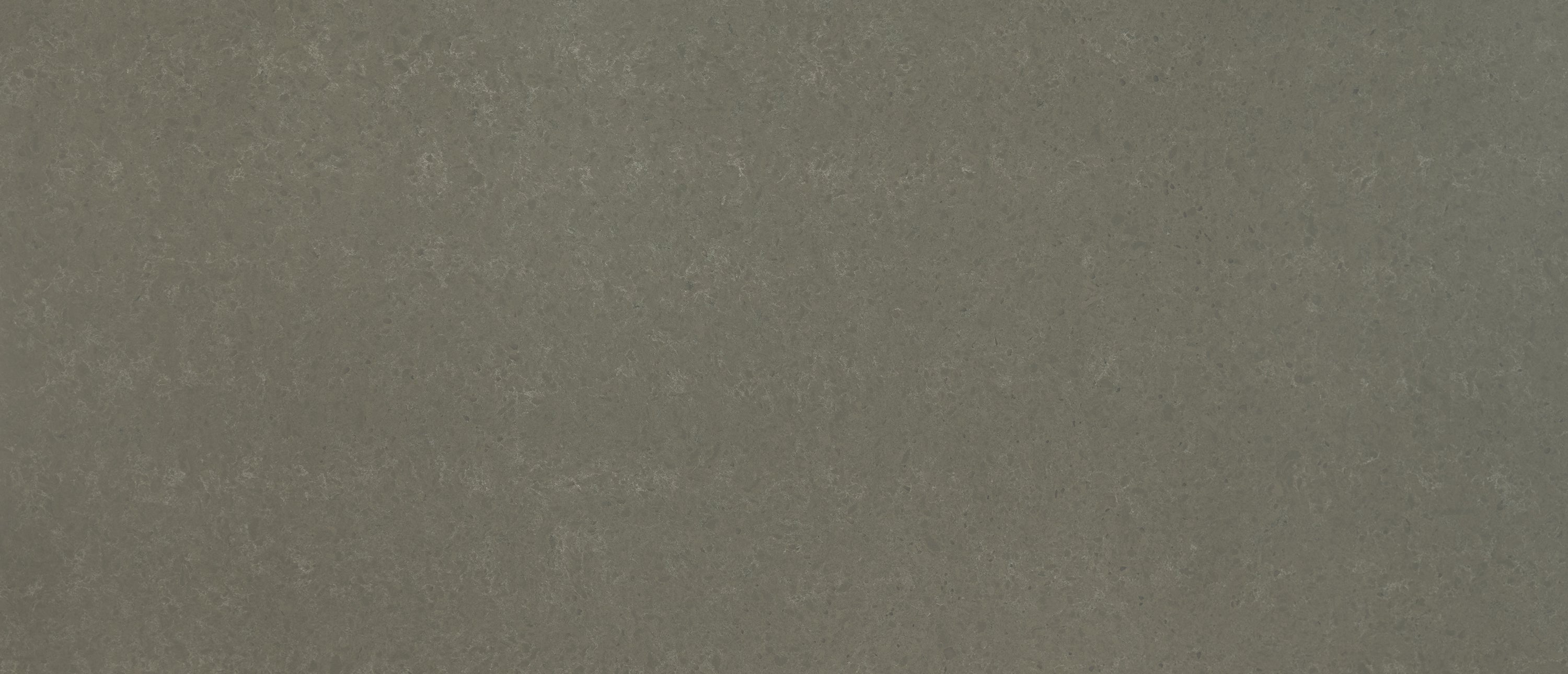 Babylon Gray® - Concrete Finish