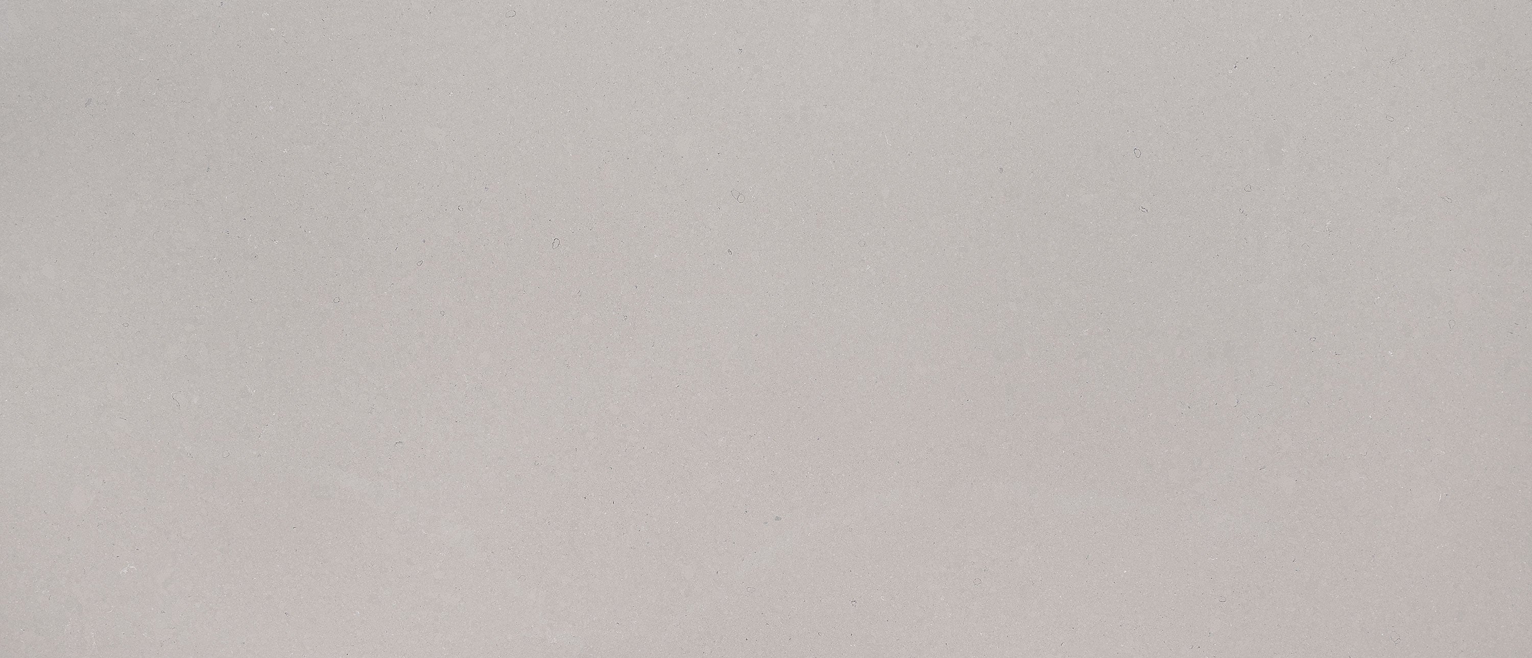 Fossil Gray® - Matte Finish