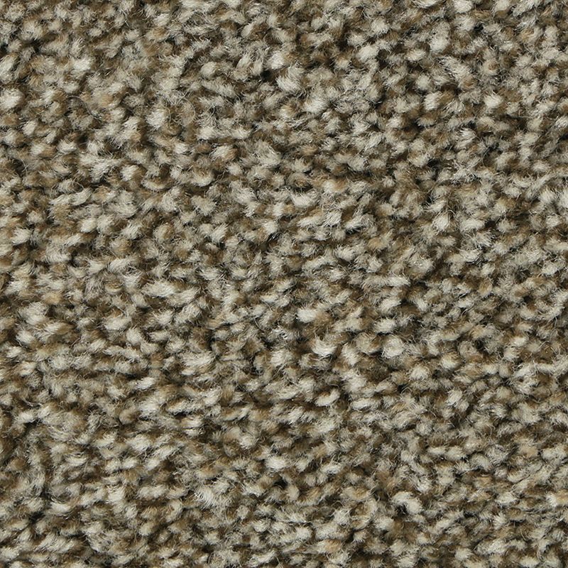 SmartStrand | Polished Shades I