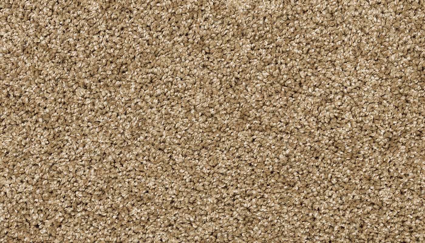 PetPremier | Diffurent Choice I