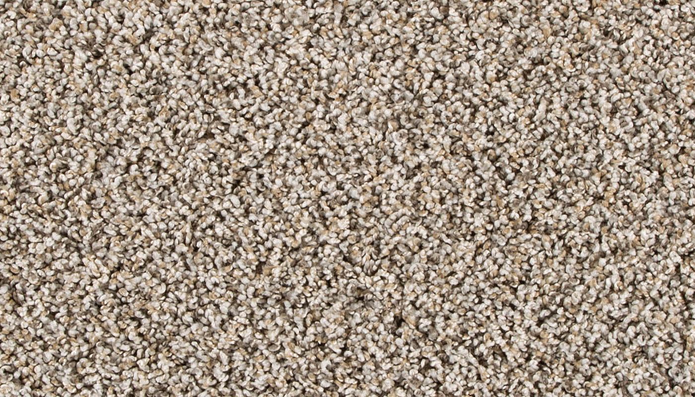 PetPremier | Diffurent Choice II