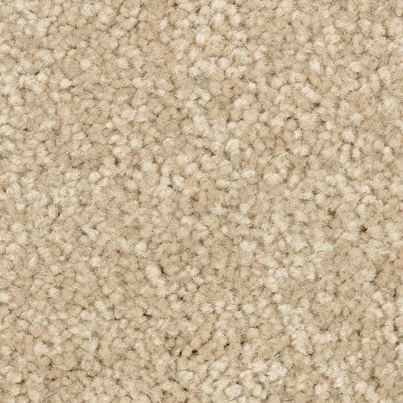 EverStrand | Elegant Appeal II