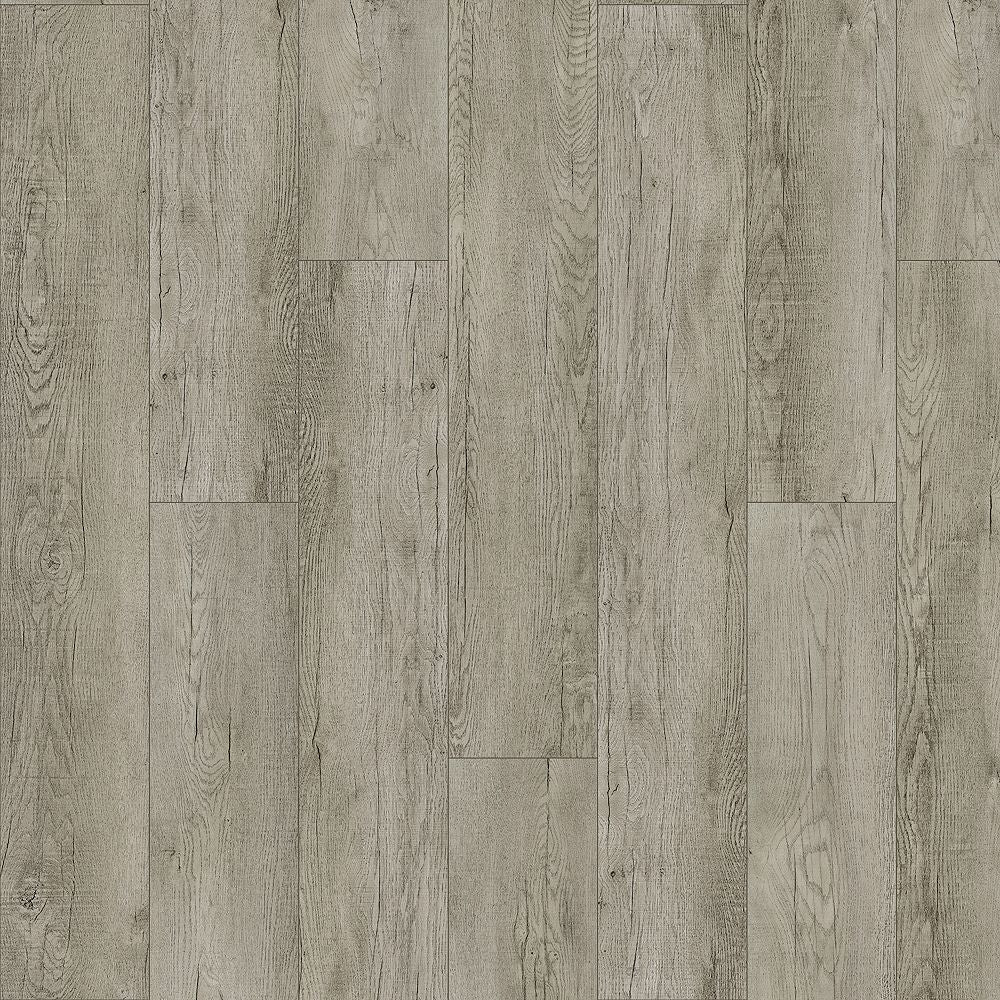 SolidTech Plus | Poppy Reserve