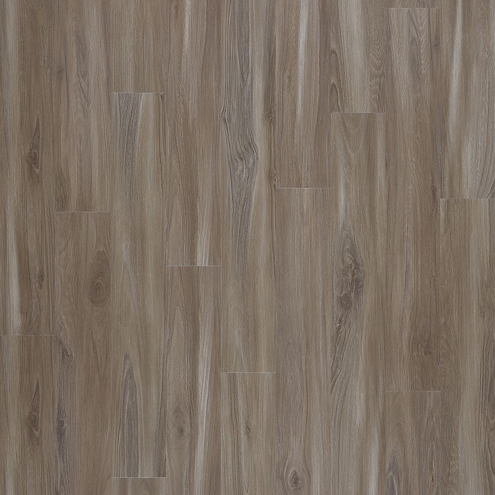 SolidTech Select | Explorer's Cove