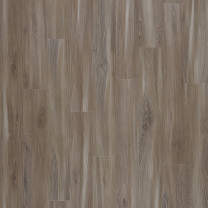 SolidTech Select | Explorer's Cove