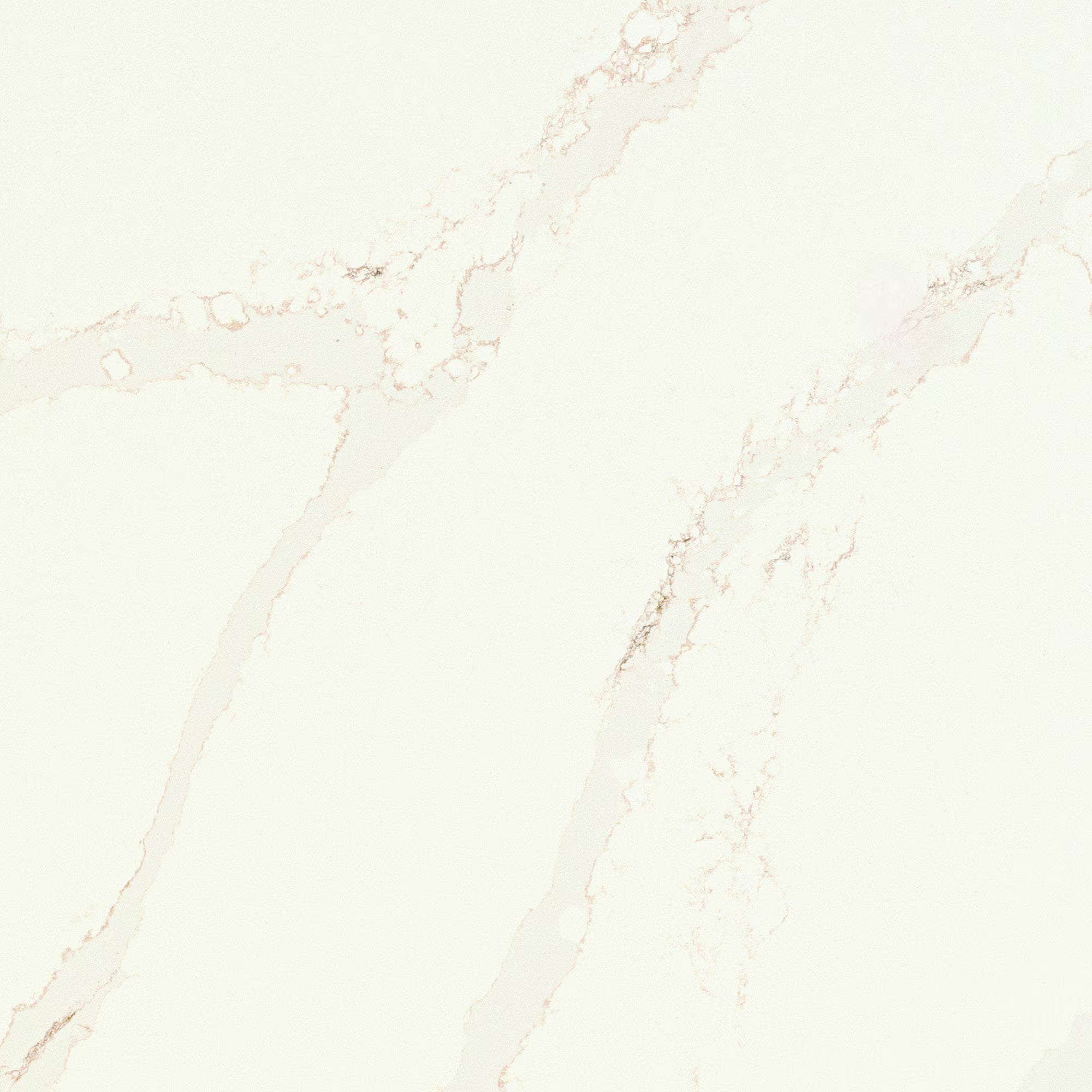 Calacatta Alabaster