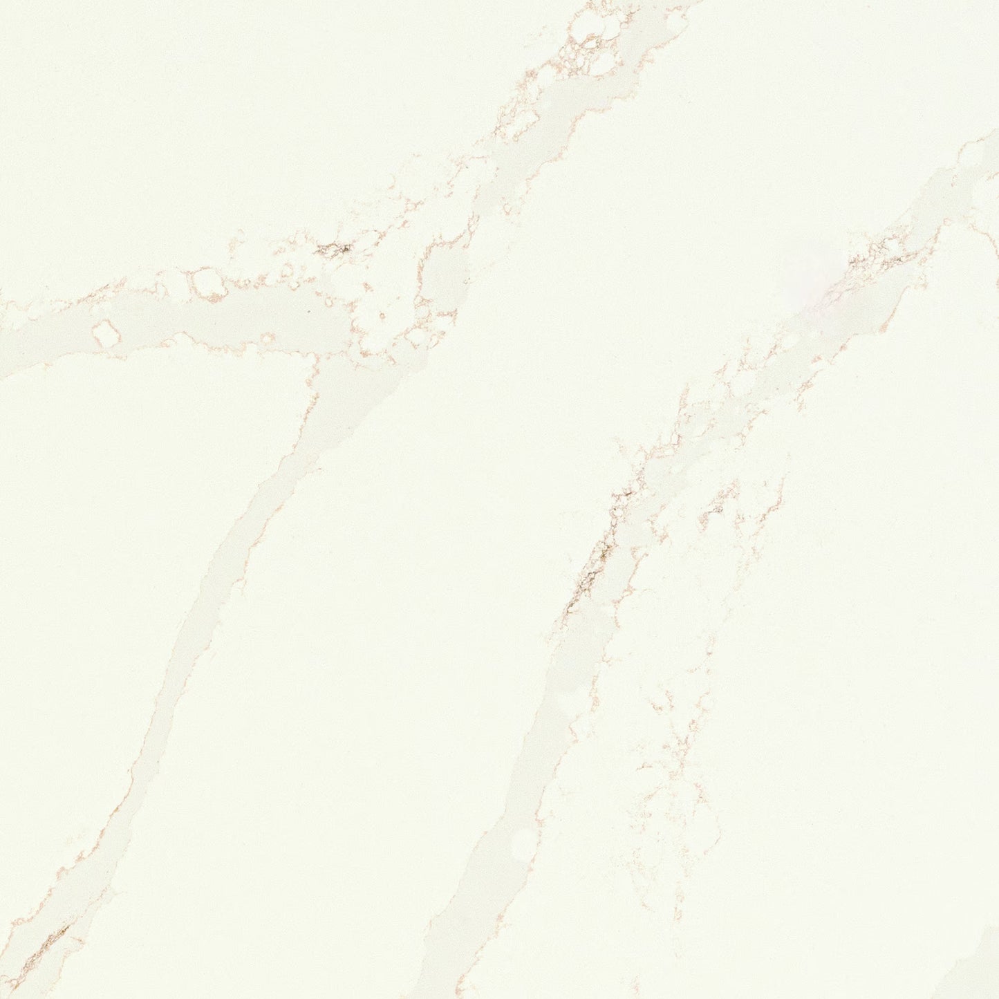 Calacatta Alabaster
