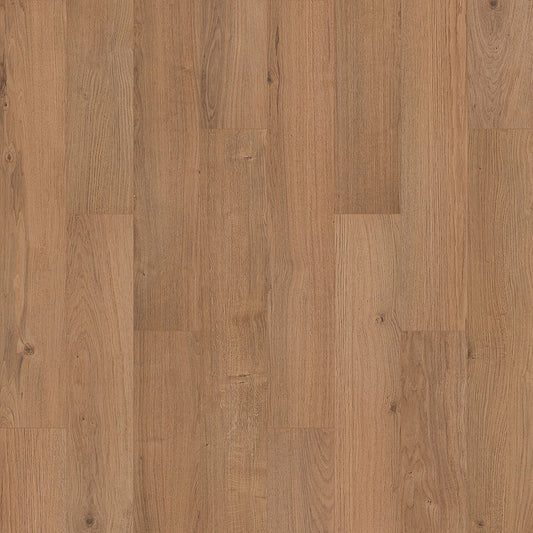 SolidTech R Select | Ashland Crest