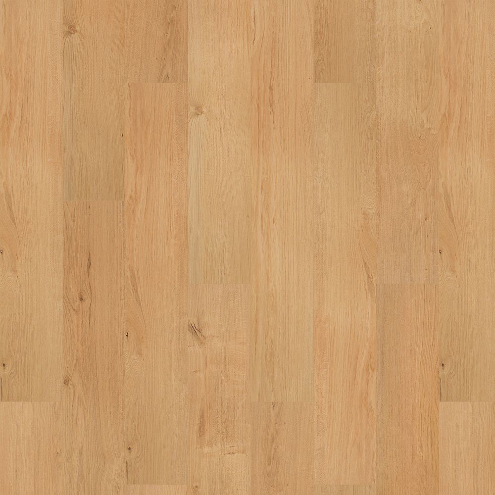 SolidTech R Select | Ashland Crest