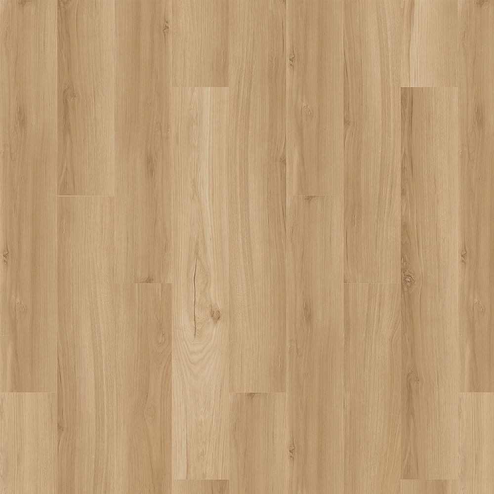 SolidTech Essentials | Arbor Terrace