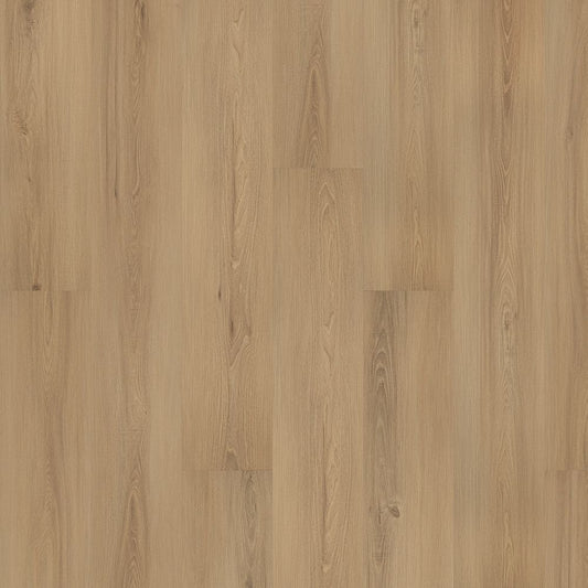 SolidTech Plus | Eastbrook Shoals