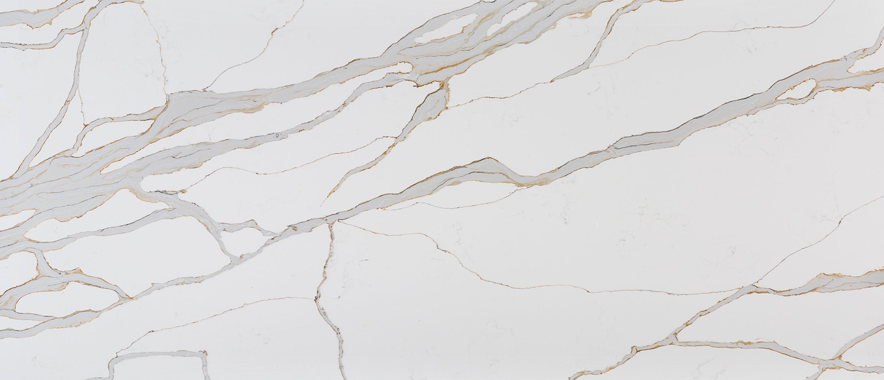 Calacatta Solessio®