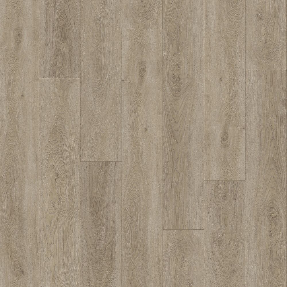 SolidTech Essentials | Boxwood Gables