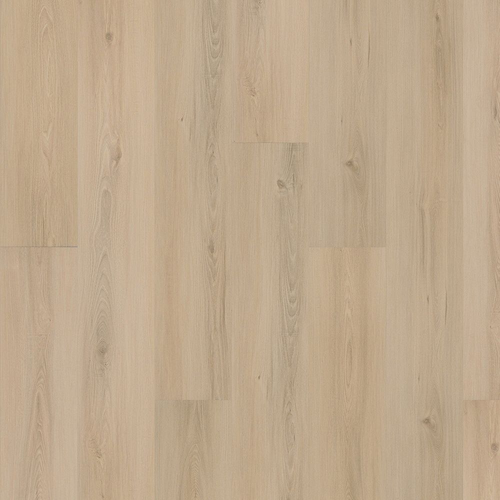 SolidTech Plus | Eastbrook Shoals