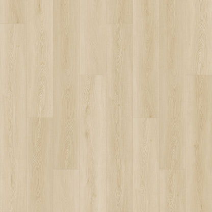 SolidTech Select | Emerald Waters