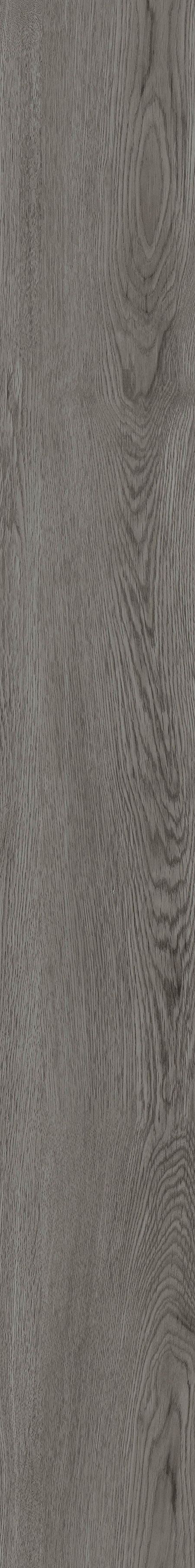 SolidTech Essentials | Discovery Ridge