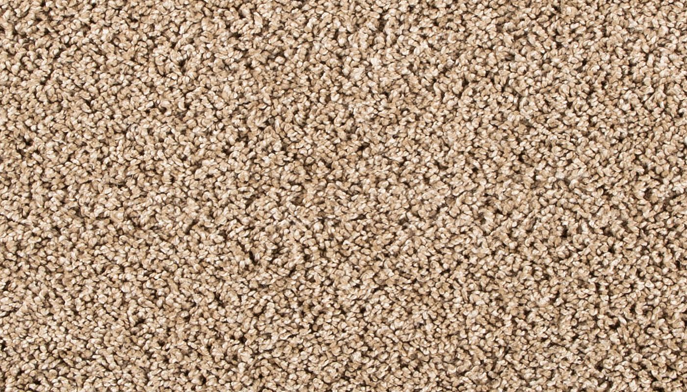 PetPremier | Diffurent Choice III