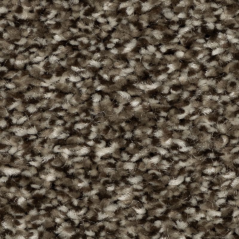 EverStrand | Refreshing Shades