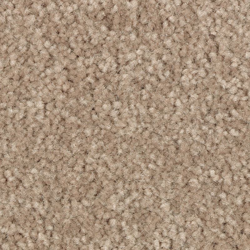 EverStrand | Elegant Appeal II