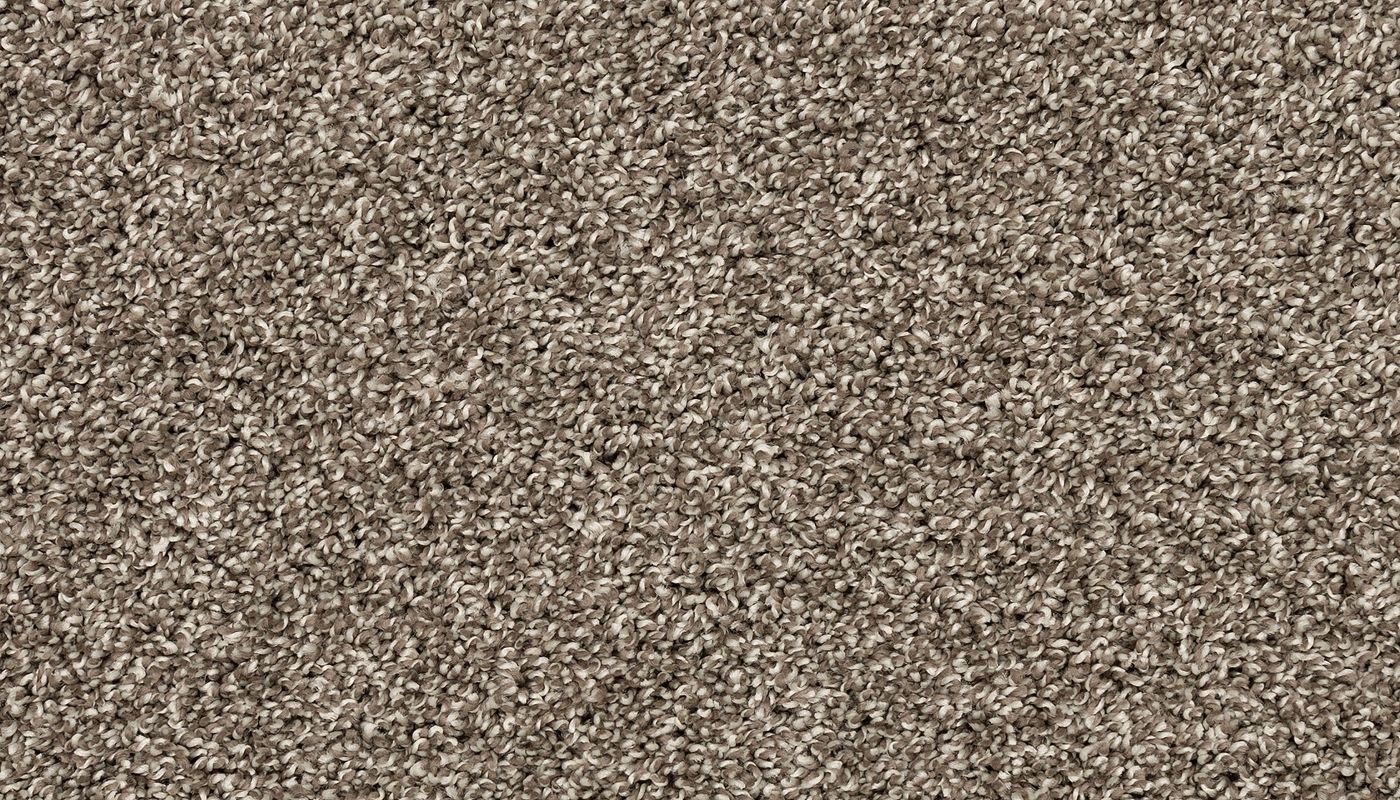 PetPremier | Diffurent Choice I