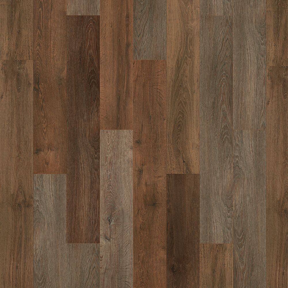 SolidTech Select | Explorer's Cove