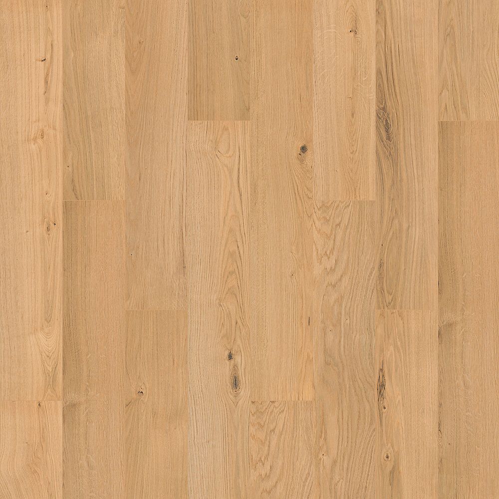 SolidTech R Select | Ashland Crest