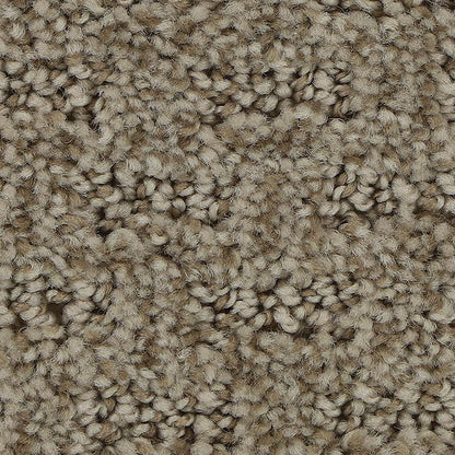 EverStrand | Stylish Tones