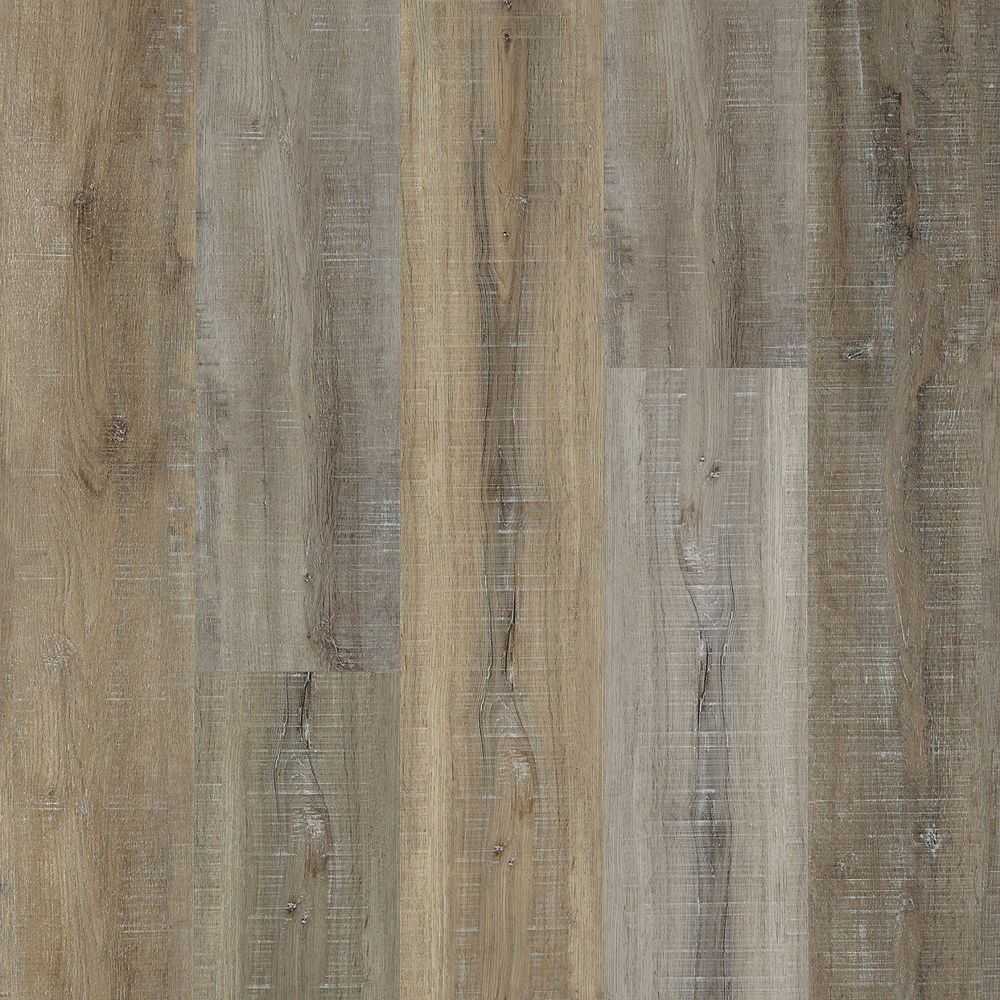 SolidTech Select | Explorer's Cove