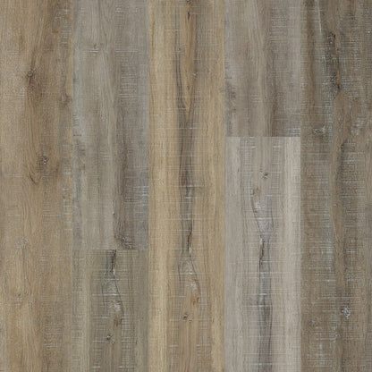 SolidTech Select | Explorer's Cove